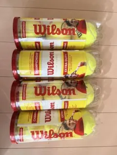 Item thumbnail for item 8e5008fa-1b4d-45e6-9d3d-eddd0a9961cd