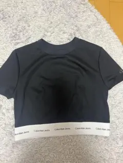 カルバンクライン Tシャツ　ショート丈