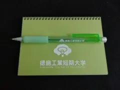 Item thumbnail for item 4bed5736-d8f6-4a28-b371-11f52bc36c5a