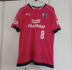 Item thumbnail for item e6cca99f-e15e-420f-8b20-806937afc211