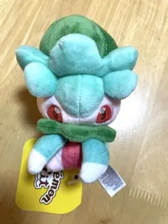 ポケモンセンター限定　ポケモンfit カリキリ
