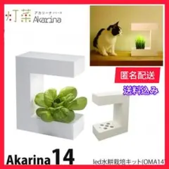 ✨️値引き✨️水耕栽培キット　灯菜 Akarina14 LED OMA14のサムネイル