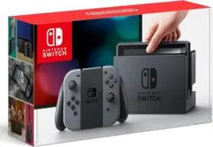 Nintendo Switch グレー 本体（付属品込み）