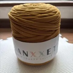 GANXXETリサイクルヤーン　マスタード　Tシャツヤーン　5m