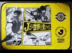 2026年最新】柏レイソル ブランケットの人気アイテム - メルカリ