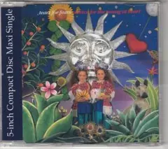 ティアーズ・フォー・フィアーズ　Advice For The Young～ CD