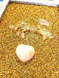 開運絵画　❀セレブリティ絵画❀