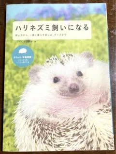 Item thumbnail for item b50ec2ca-9f9b-4e24-86bd-d5ae051facf8