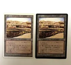 mtg土地まとめ 小道 レア土地 2色土地など 計217枚 メルカリ便 Amazon.co.jp: MTG 砂漠2色土地 40枚セット : おもちゃ