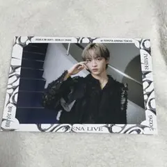 C*中様 龍宮城 プレミアムフォト SHIBAI KEIGO