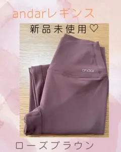 いぬみ様 リクエスト 2点 まとめ商品