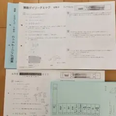 2025年最新】デイリーチェック サピックスの人気アイテム - メルカリ