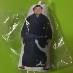 Item thumbnail for item f574c24c-aac5-49d1-b950-196229753054