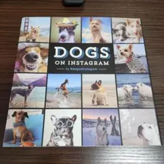 DOGS ON INSTAGRAM 犬 写真集 インスタグラム