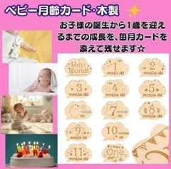 ベビー月齢カード　お誕生日までの記録　ベビーフォト　出産祝い