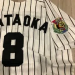 Item thumbnail for item 59594c9c-7cff-4a27-9ce4-5d1473c4f60e