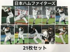 【日ハム】カルビープロ野球チップス 2009~2011 スターカード含