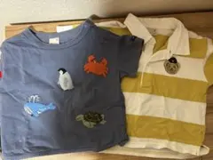 プティマイン 半袖