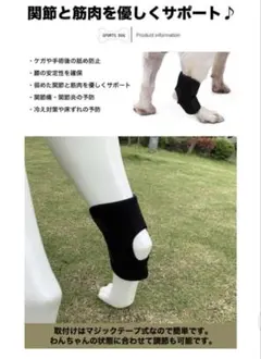 Item thumbnail for item c35284c8-7e48-438b-a74a-51bde9a552f9