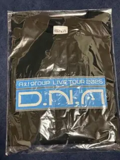 ねこむすめさん専用　2025 D.N.A. ロンT