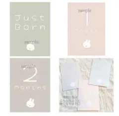 Item thumbnail for item 4df0d942-24d3-4c48-a400-8397be58a6cd