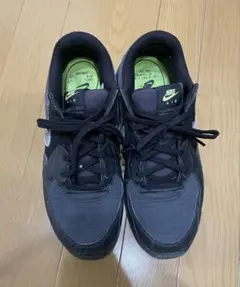 Nike Air Max ブラックスニーカー