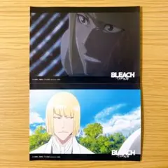 BLEACH ブリーチ 千年血戦篇 ブロマイド 平子真子 ② ※バラ売り可