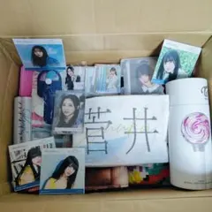 日向坂46 まとめ売り 2026年最新】日向坂46まとめ売りの人気アイテム - メルカリ