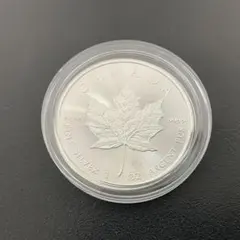 2026年最新】メイプルリーフ銀貨の人気アイテム - メルカリ