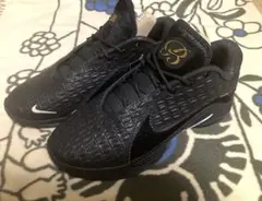 Nike LeBron 22 "Black Label" 27.0cm