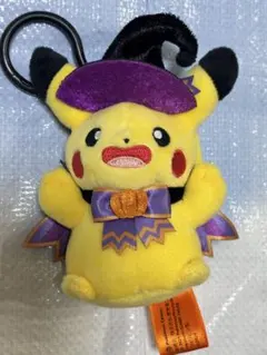 ポンチョ メガヤミラミ ピカチュウ ぬいぐるみ ポケモンセンター