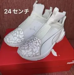 Item thumbnail for item e620ba41-d741-47bd-b5a2-a4dc2991643a