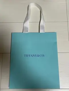 TIFFANY&CO. ショップ袋 ショッパー