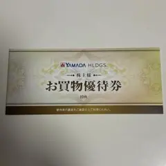 ヤマダホールディングス お買物優待券 500円 10枚
