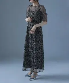 ＊美品＊etoll. 刺繍レースレイヤードドレスのサムネイル