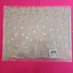 Item thumbnail for item 550faf40-ca4f-4fa1-9f7f-ae150173a75b