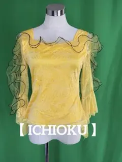 T844 社交ダンス　トップス【 ICHIOKU 】