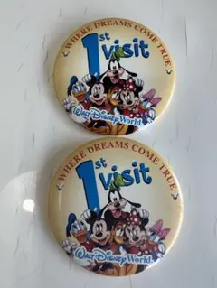 ディズニー ワールド　バッチ3点 フロリダ限定