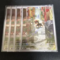 シシコ ar4枚セット