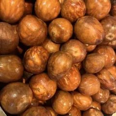 hiro様専用　アボカドの種(50玉)avocafe