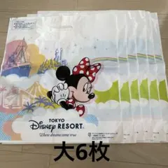 東京ディズニーリゾート　買い物袋　ショッパー　大6枚セット