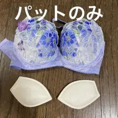 Item thumbnail for item 1bd5a543-e3bc-43fd-af1d-8cc2c2934dc0