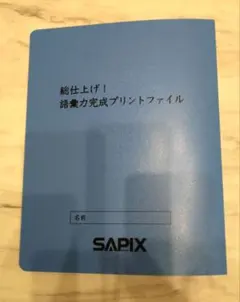 ㉔か　大変重宝　SAPIX SAPIX 語彙力強化プリントファイル 総仕上げ❣️ 2026年最新】語彙力完成プリントの人気アイテム - メルカリ