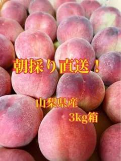 朝採り　山梨県産　桃　3kg(9〜15個)のサムネイル