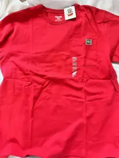 Item thumbnail for item 97b0443a-3835-4d3c-9af7-dfa0fc88de71