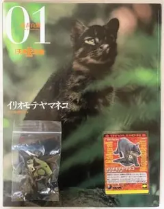 2025年最新】日本の天然記念物 トレーディングカードの人気アイテム