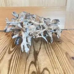 新品 手作り花台 瘤？ 木製 複雑木の根？ アート - メルカリ