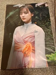 Item thumbnail for item cba80d14-23fa-4d2d-8409-e5a906e27421