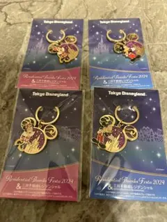 ディズニーランド 貸切 オリジナルキーホルダー 2024 ミッキー・ミニー