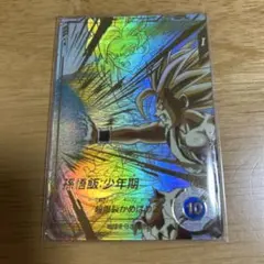 SDV5-008 孫悟飯 少年期　パラレル